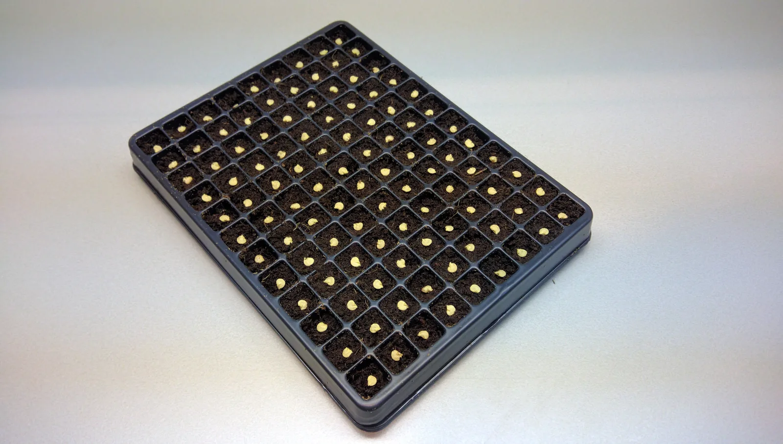 LabTIE dispenser loading a 108 well germination tray grid