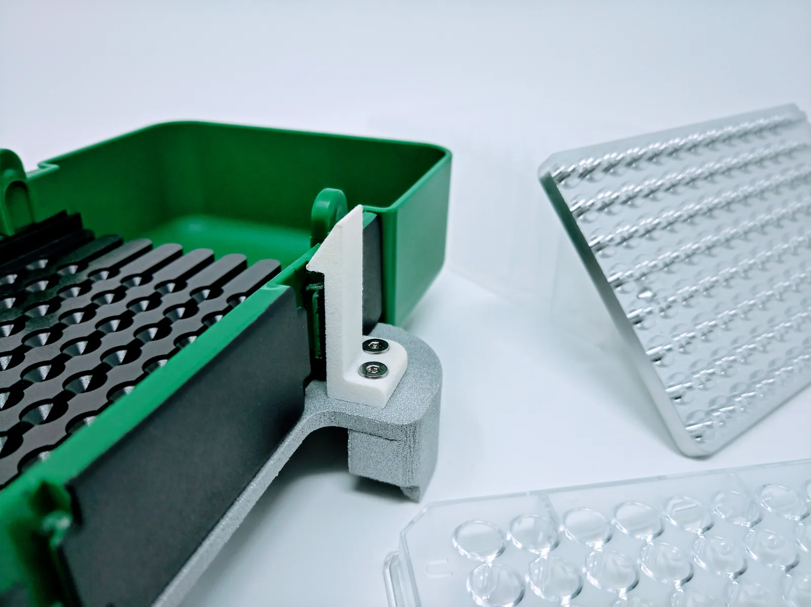 How Do You Fill a 96-Well Plate with Seeds for Germination or DNA Extraction?