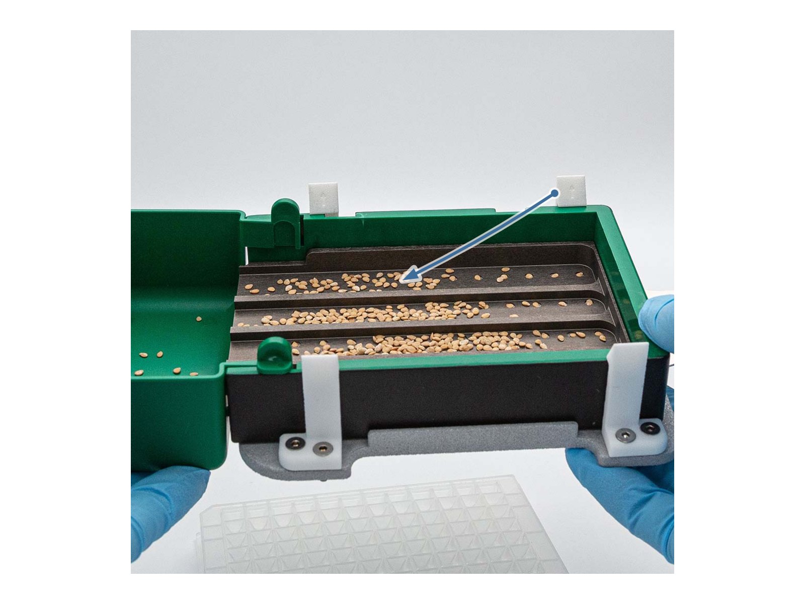 Step 1: filling a LabTIE seed dispenser with seed above the mesh plate