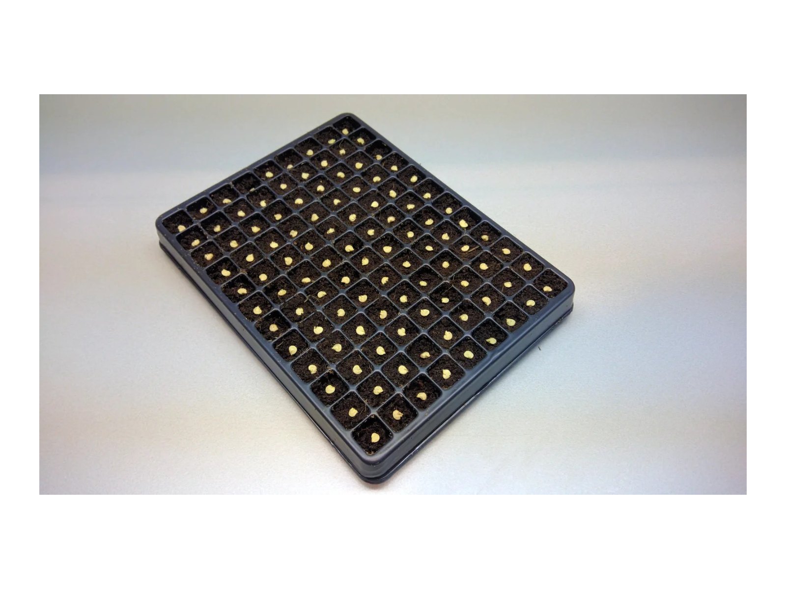 Seed Counter or Seed Dispenser: What Does Your Lab Need?